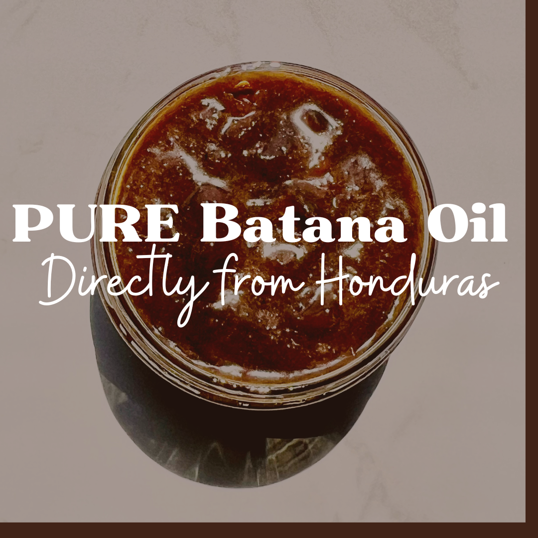 batana plant seeds Batana Oil: Directly From La Moskitia Village, Honduras 100% Pure & Unrefined Batana Oil / 1 oz Jar