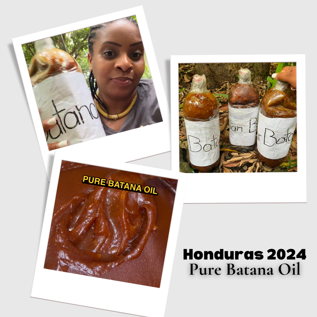 Batana Oil: Directly From La Moskitia Village, Honduras